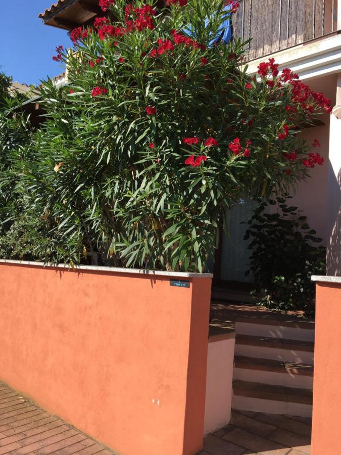 Apartamento Borgo Saraceno Mirto 5 San Pasquale Exterior foto